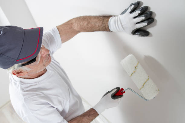 Best Post-Construction Mold Inspection  in Pinehurst, NC