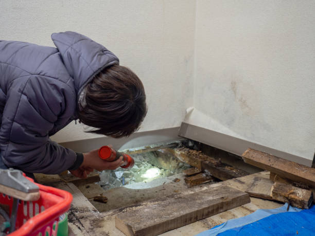 Best Mold Prevention Services  in Pinehurst, NC