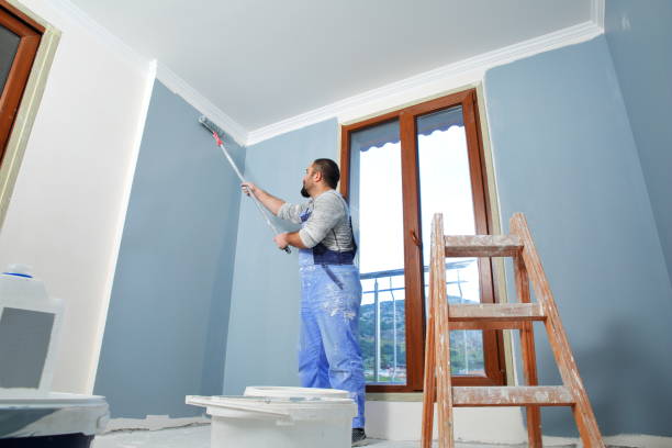 Mold Documentation for Insurance Claims in Pinehurst, NC