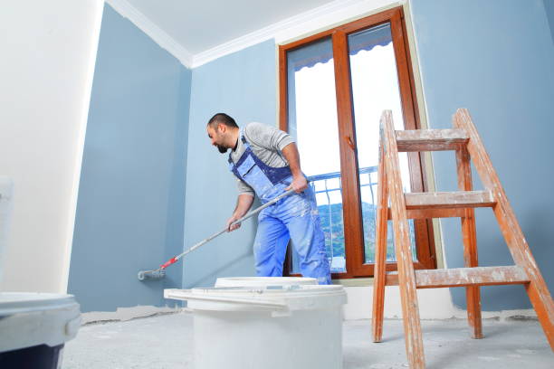 Best Basement Mold Removal  in Pinehurst, NC