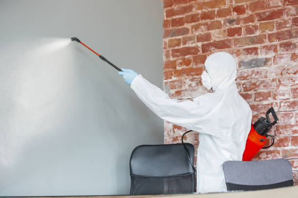 Best Black Mold Removal  in Pinehurst, NC