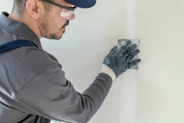 Best Mold Damage Restoration  in Pinehurst, NC