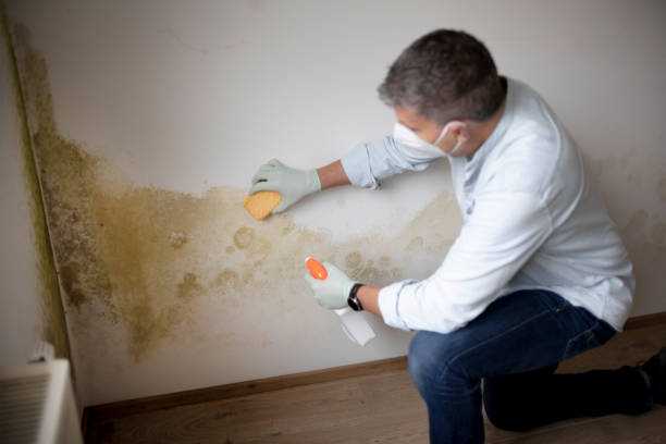 Best Mold Documentation for Insurance Claims  in Pinehurst, NC