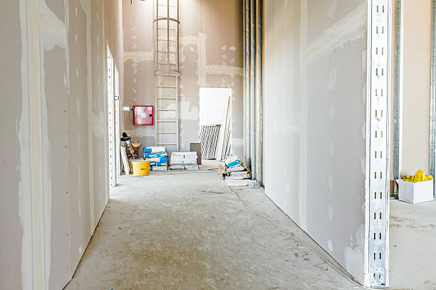 Best Attic Mold Removal  in Pinehurst, NC